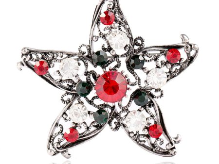 Red Cubic Zirconia & Silver-Plated Star Brooch Online