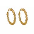 18K Gold-Plated Twist Hoop Earring For Discount