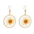 18K Gold-Plated Pressed Mum Round Drop Earring Fashion