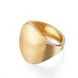 18K Gold-Plated Oval Face Hinge Bangle Online