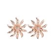 18K Gold-Plated Sunflower Stud Earrings Supply