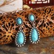 Turquoise & Silver-Plated Drop Earrings Cheap