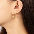 18K Gold-Plated Oval Huggie Earrings Fashion