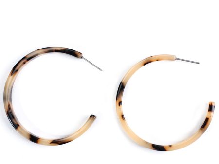 Tortoise Hoop Earrings For Discount