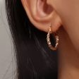 18K Gold-Plated Twisted Huggie Earrings For Cheap