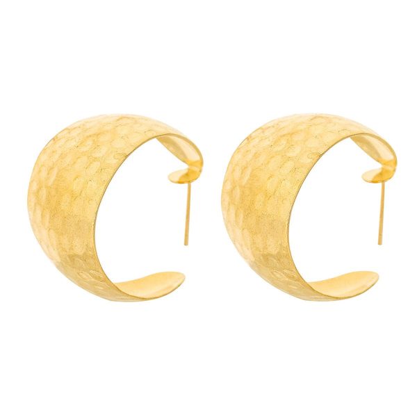 18K Gold-Plated Fish Scales C-Huggie Earrings Online now