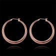 18K Rose Gold-Plated Polished Barrel Hoop Earrings Online